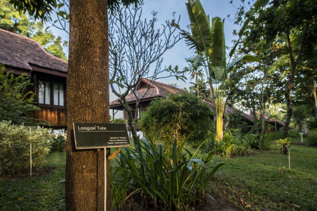 La Folie Lodge Champasak Luaran gambar